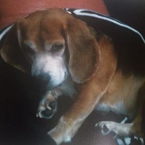 Meet your Posher, Joann